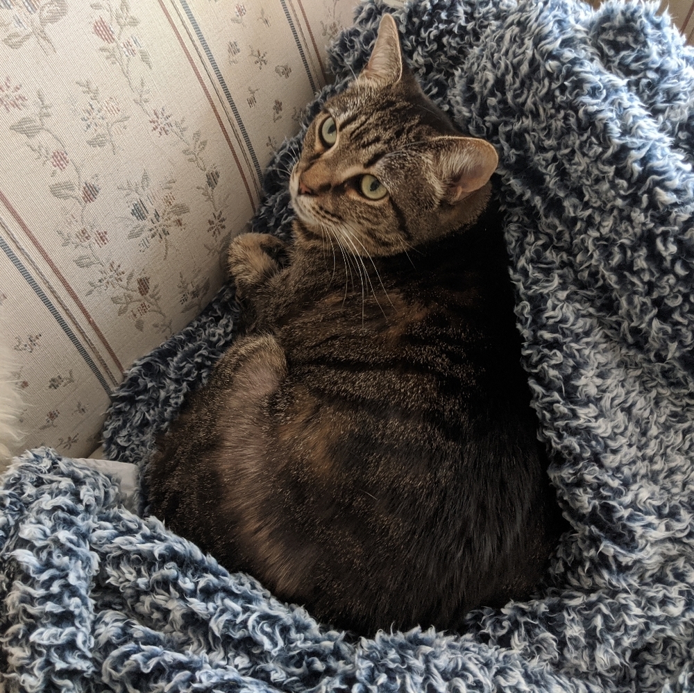 Meet your Posher, Susan